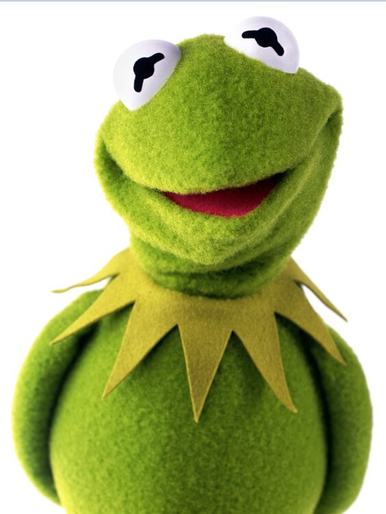 kermit .jpg