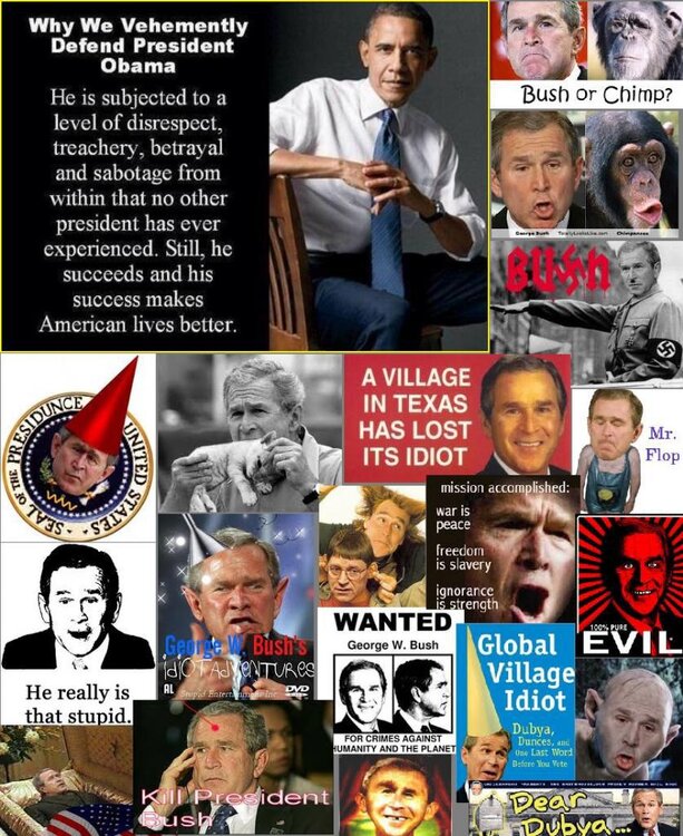 Bush Disrespected II.jpg