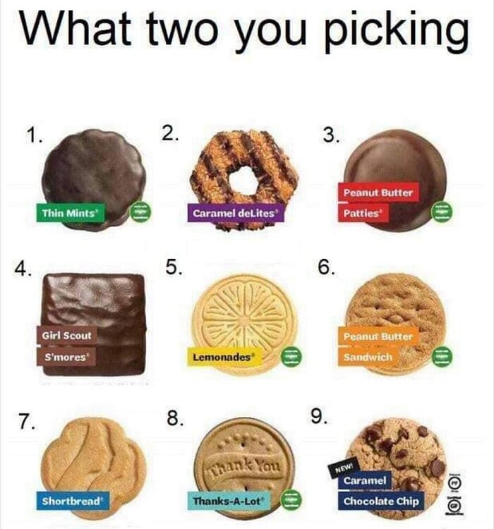 GS Cookies.jpg