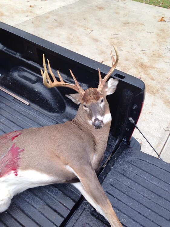 danny big buck.jpg