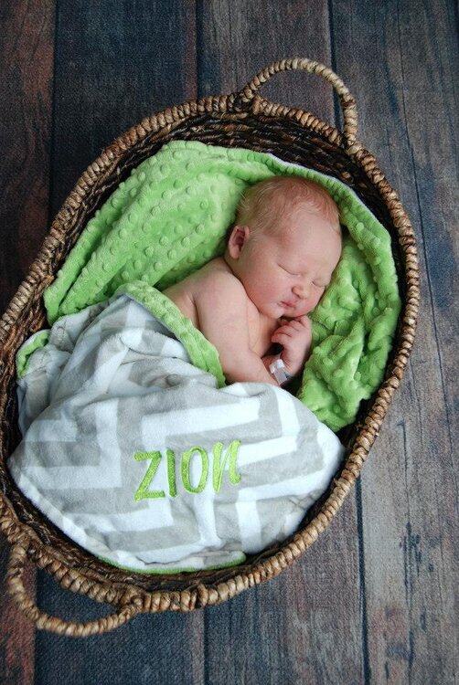 zion #4.jpg