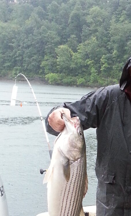 Bill with striper just planer.jpg