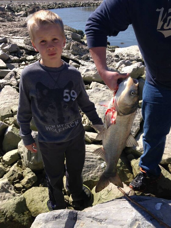 asian carp.jpg