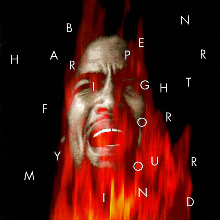 ben harper - fight for your mind.jpg