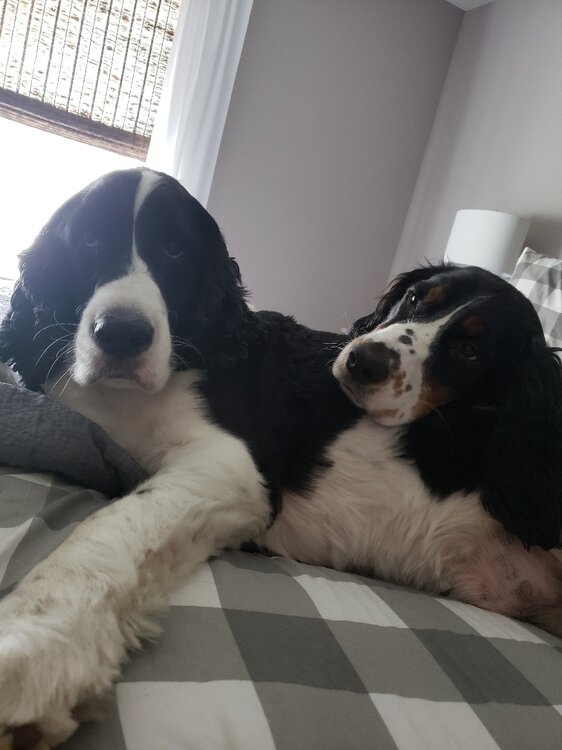 Booker & Decker.jpg
