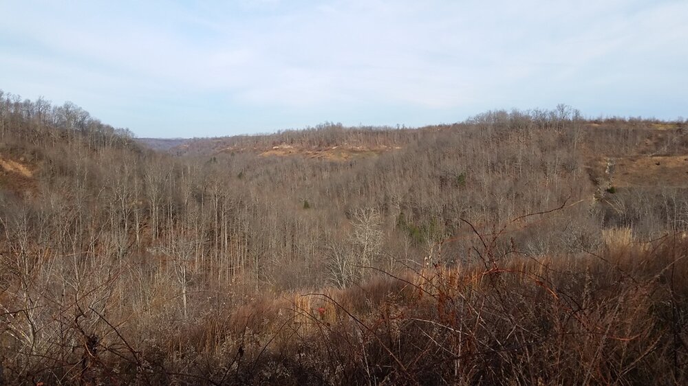 20151213_101055.jpg