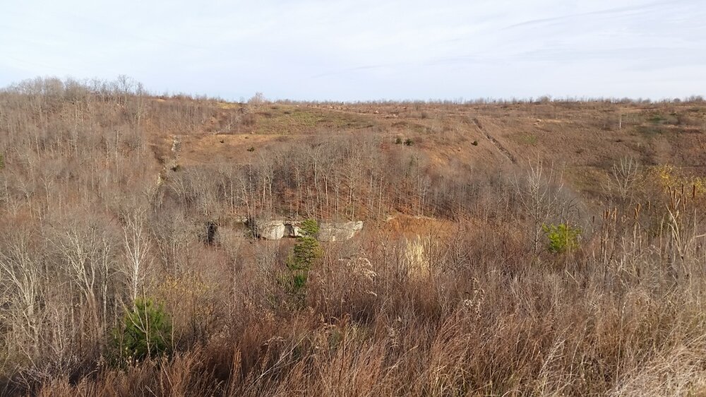 20151213_101404.jpg