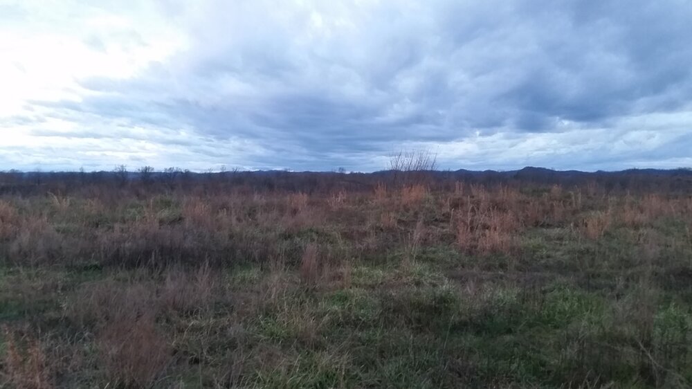 20151214_074028.jpg