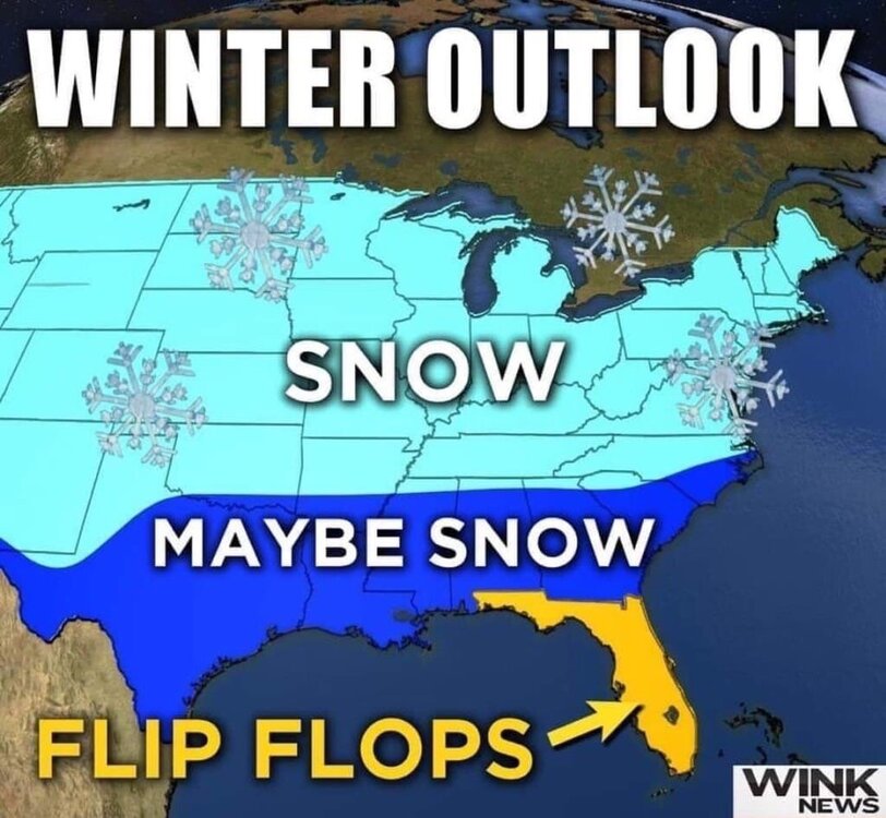 Flip Flops.jpg
