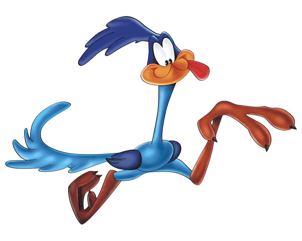 4352091-2832318-roadrunner.jpg