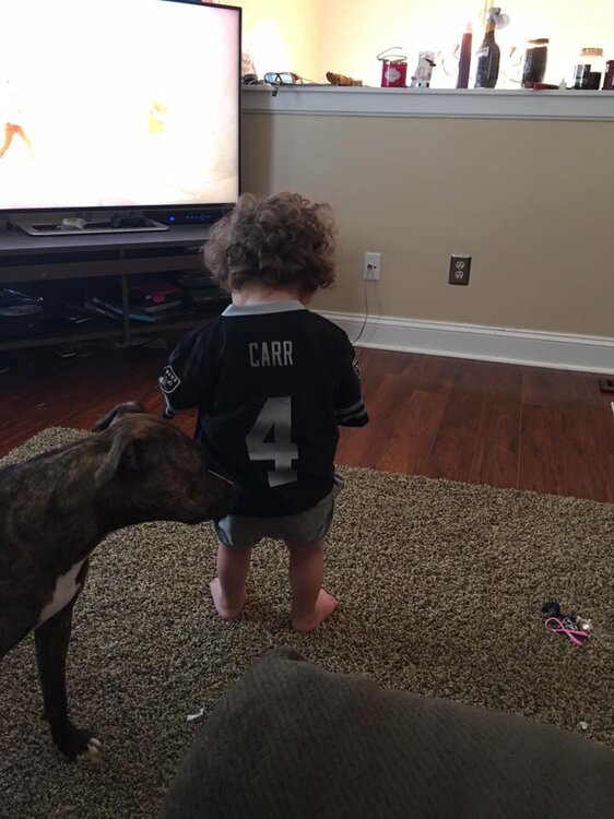pitty 2.jpg