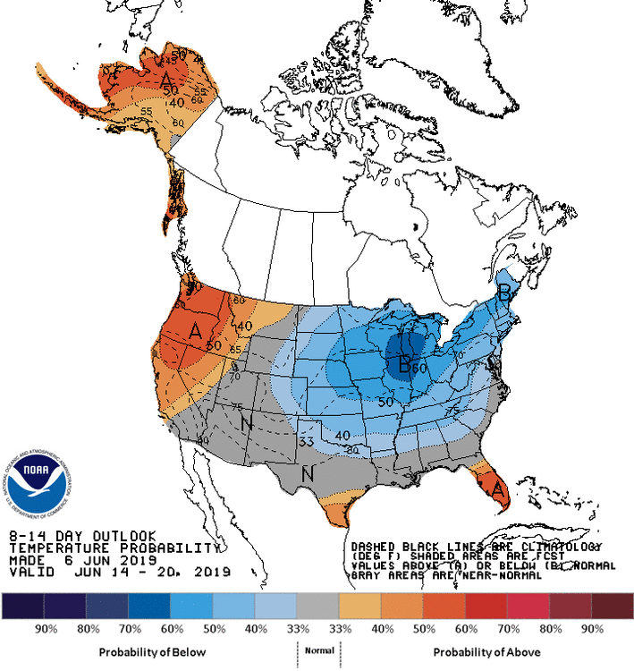 814temp.new.gif