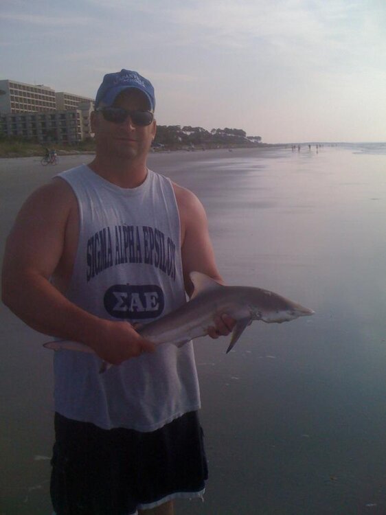 sand shark.jpg