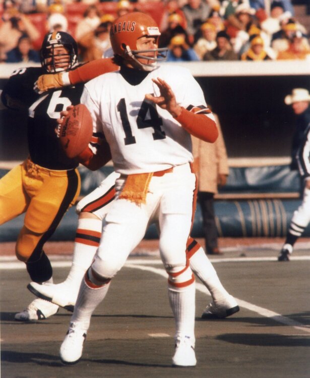 Anderson-Bengals.jpg