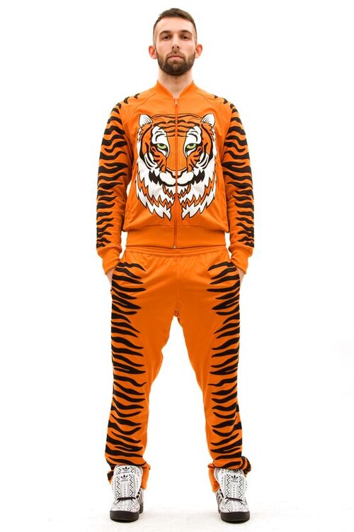 Bengals.jpg