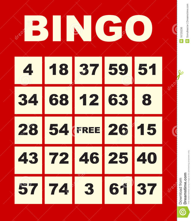 Bingo.jpg