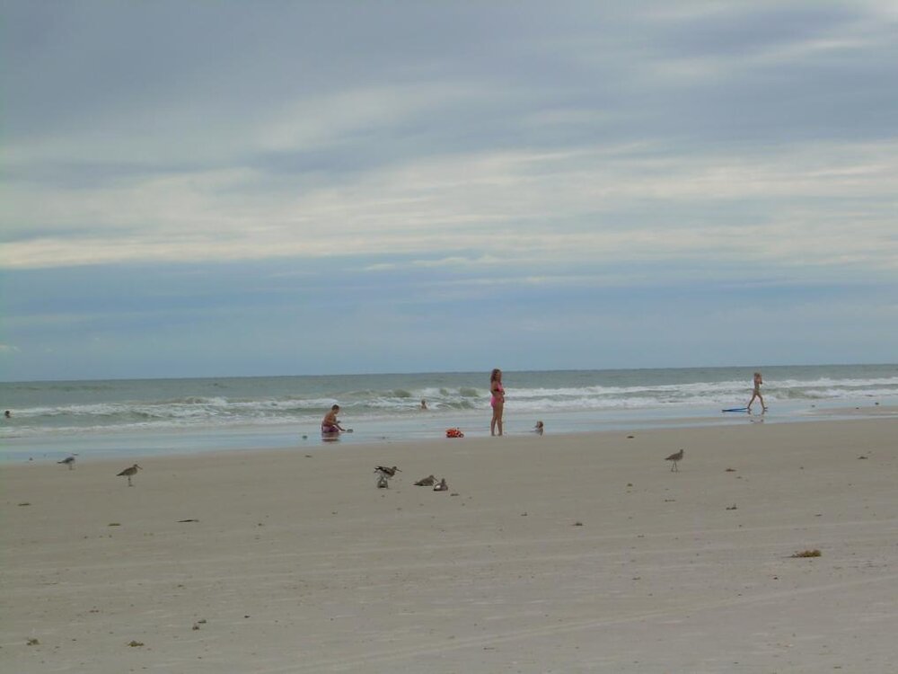 DSCN1131.jpg