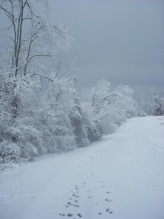 DSCN5186.jpg