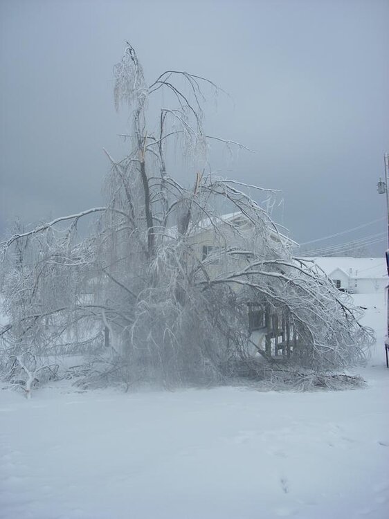 DSCN5187.jpg