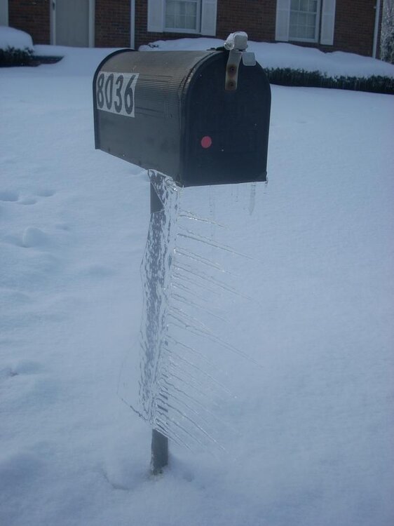 DSCN5193.jpg