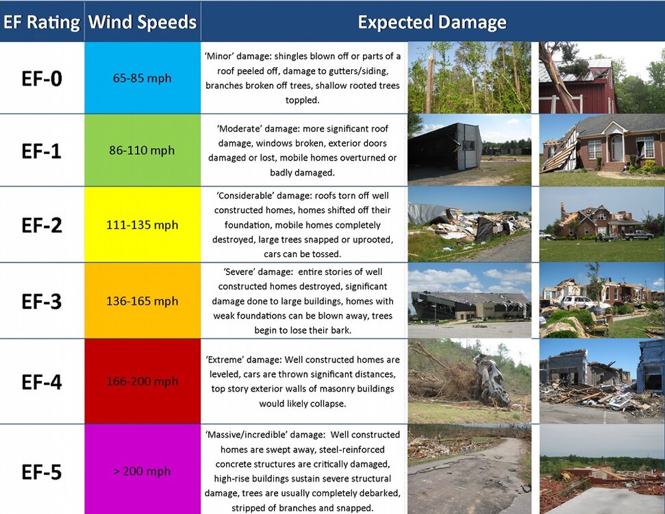 EF-Ratings.jpg