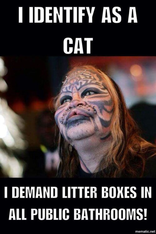 FB_IMG_1462013356989.jpg