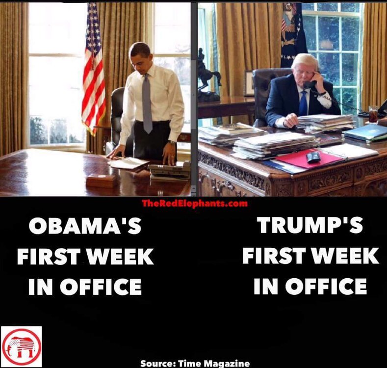 FB_IMG_1487648233031.jpg