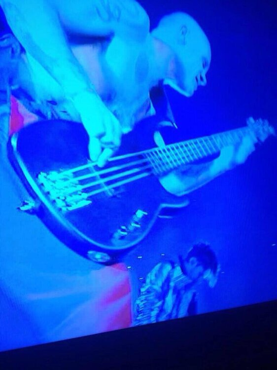 Flea.jpg
