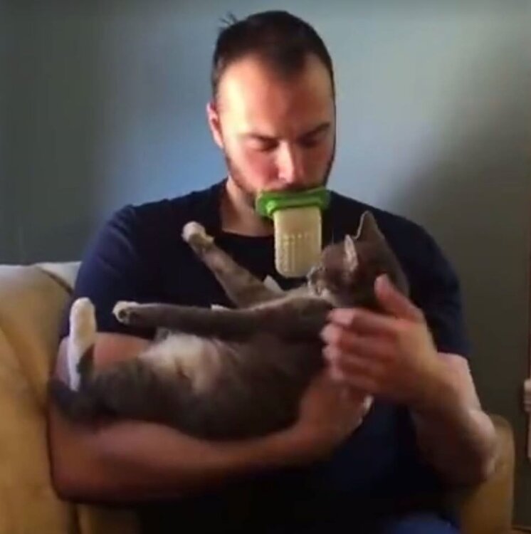 Lick.jpg