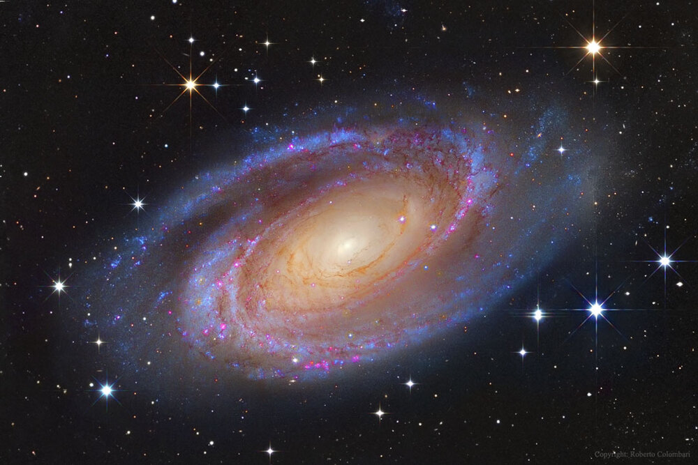 M81.jpg