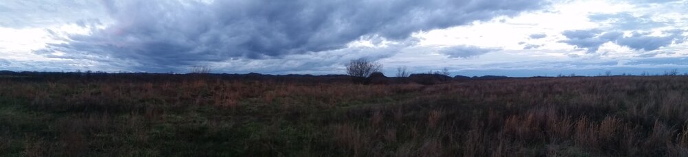 Panoramic3.jpg