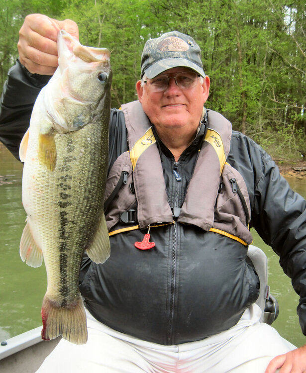 Pickwick-15-DS-6lbLargemouth-1a-4-17.jpg