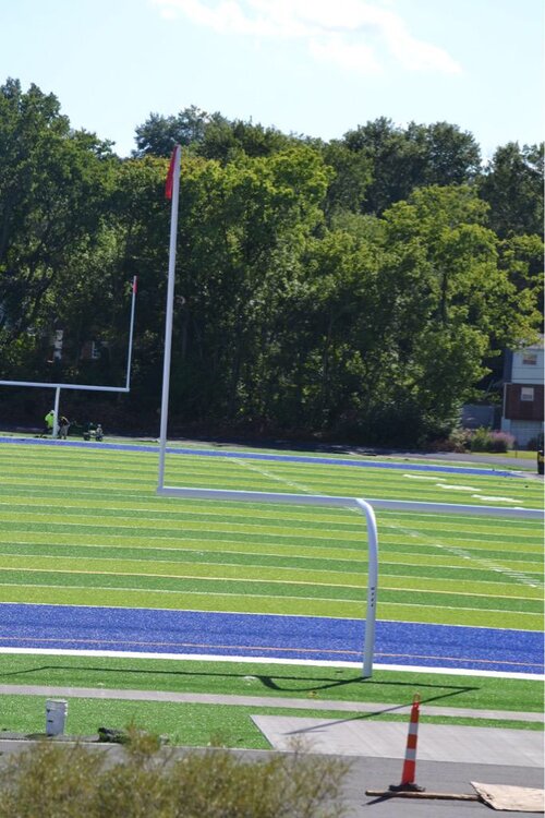 Turf.jpeg