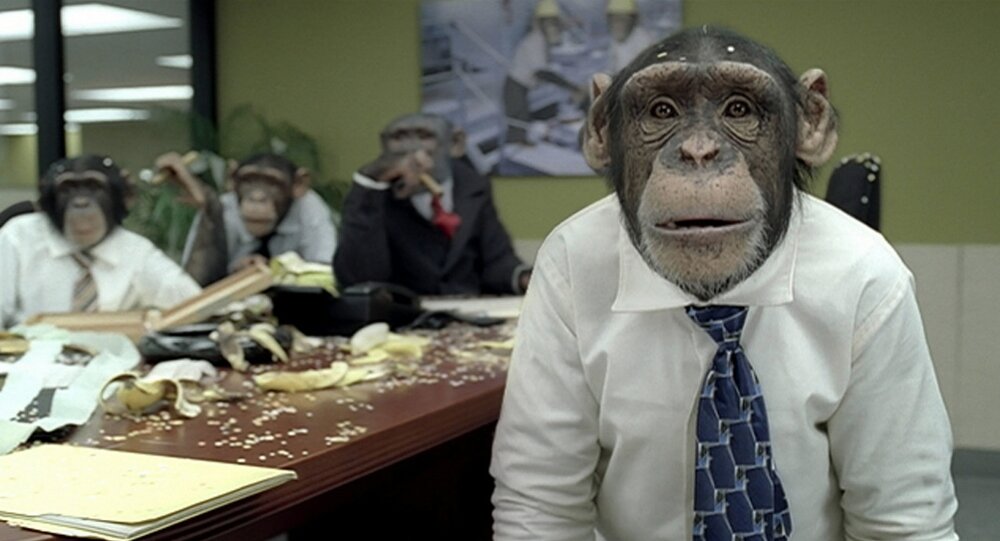 chimp.jpg