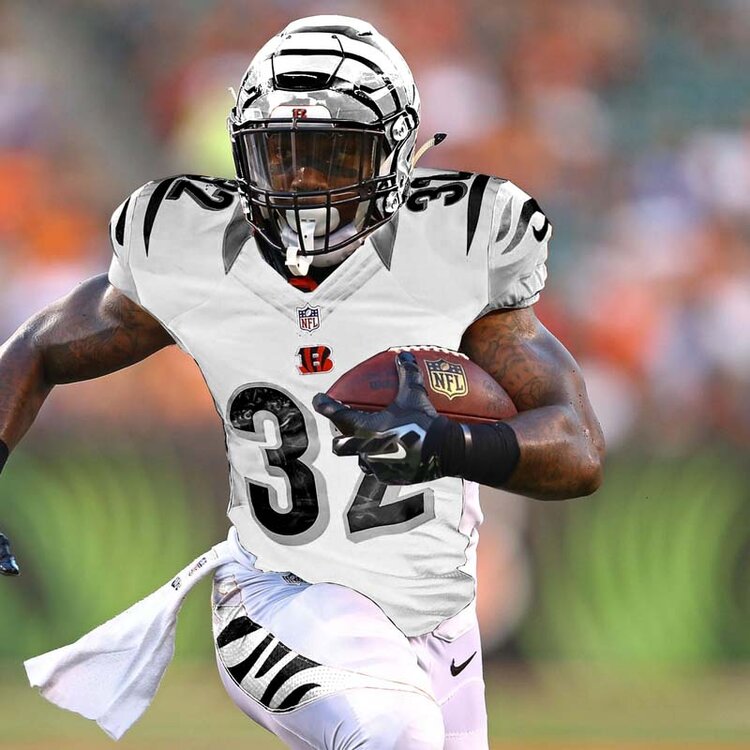 cincyjungle.jpg