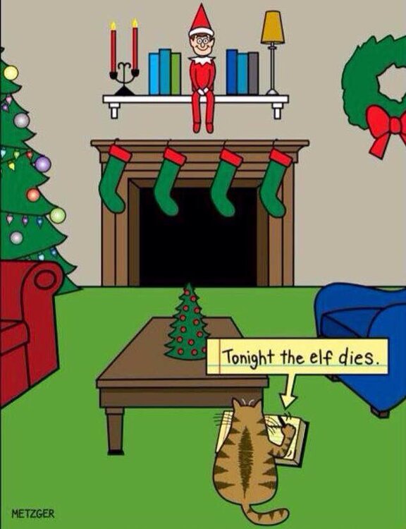 elf2.jpg