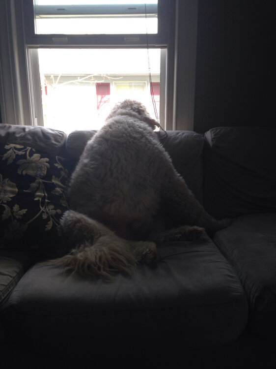 image-2015438218.jpg
