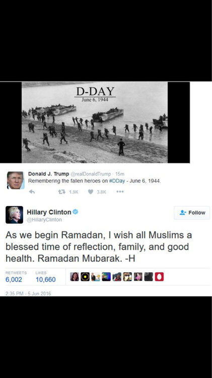image-663569986.jpg