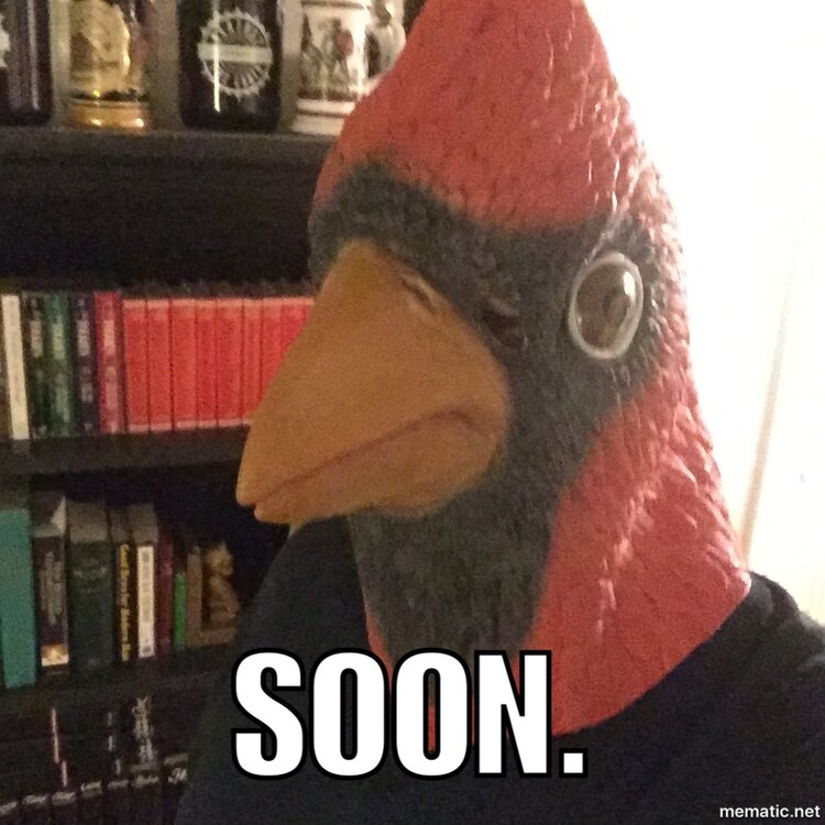 image.jpeg