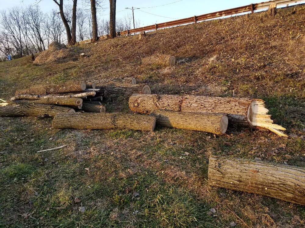 logs.jpg