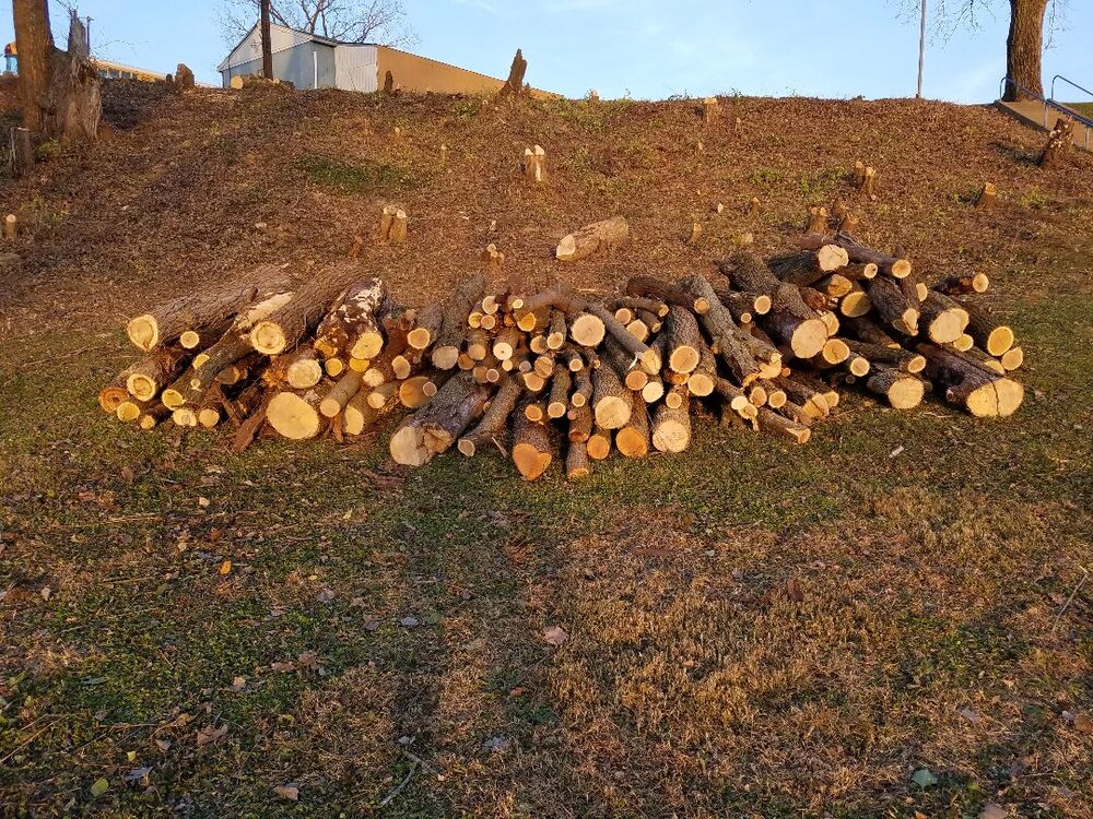 logs2.jpg