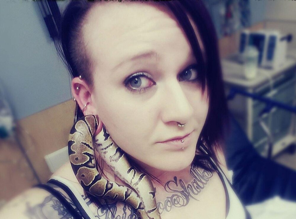 lvpython2n.jpg