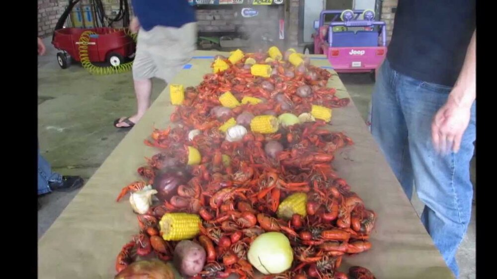mudbugs.jpg