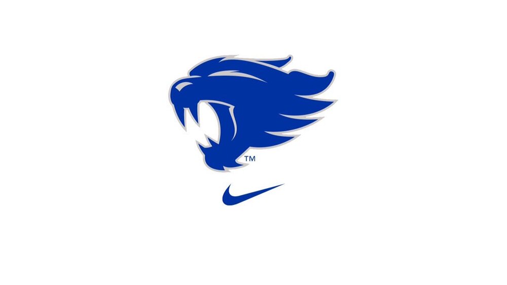 newuklogowildcat.jpg
