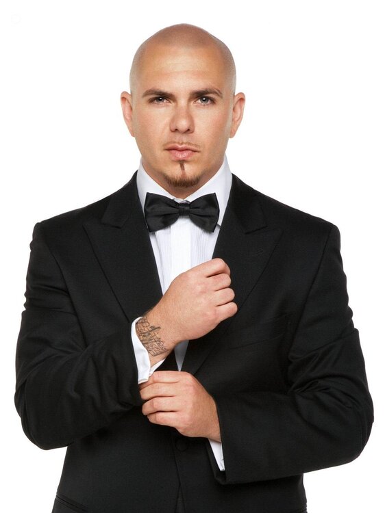 pitbull-singer-238142411.jpg