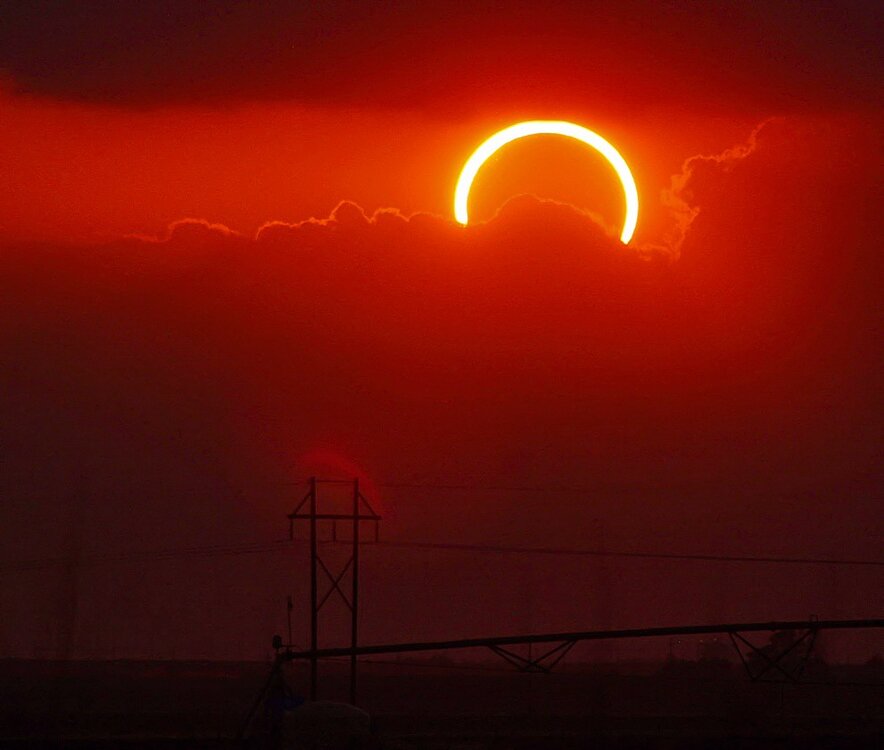 ringoffire.jpeg