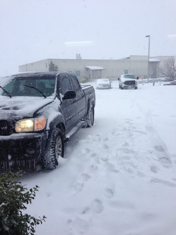 snow.JPG