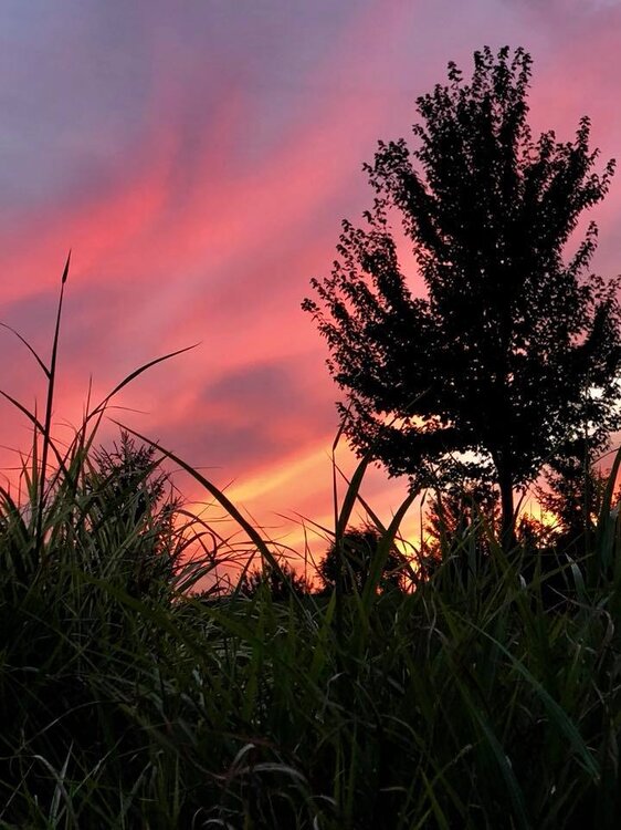 sunsetflorenceky.jpg