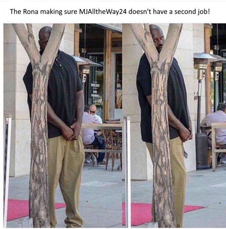 mj.jpg