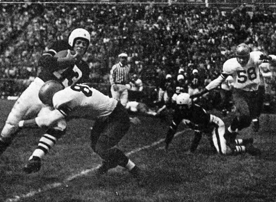 185619364_RedDog1974Cincinnati-3.jpg.5b6913c8ccc6317cda81d34b9b90409b.jpg